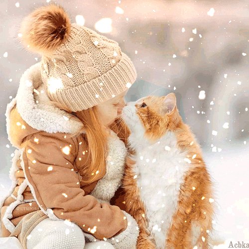 file_92550377