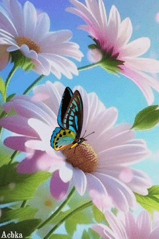 Ромашковое лето