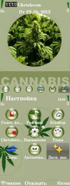 Cannabis