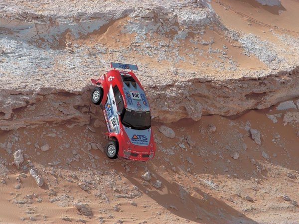 Sega Rally 3d