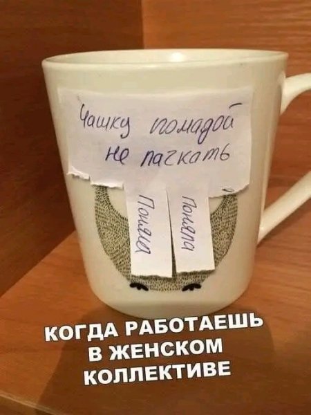file_103167179