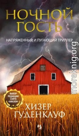 Ночной гость