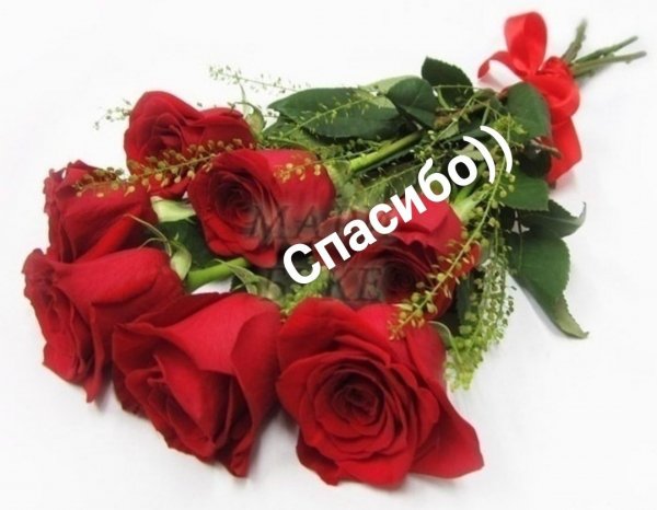 tXMYzhfwqc