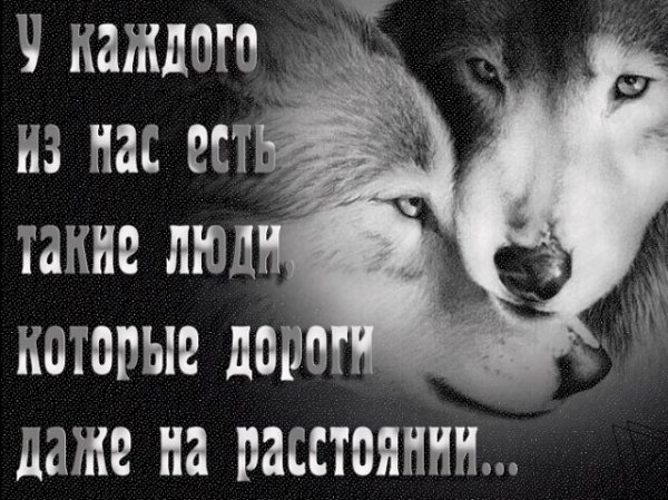IMG 20190810 152537