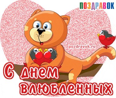 den-vlyublennyh-pozdravok-kotik