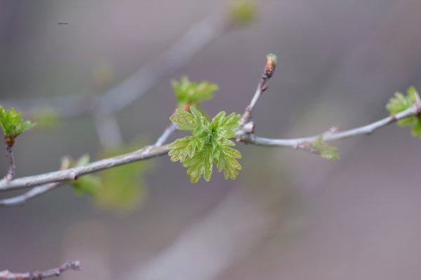 24.04.2025