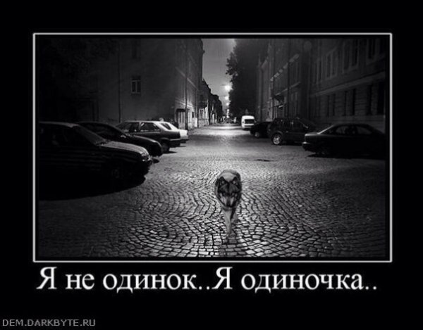 3hLnq1WBaco
