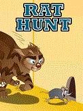 Rat Hunt 240x320