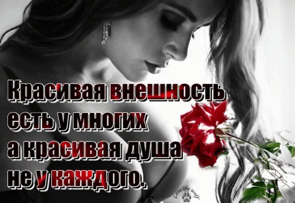 gif 1479212748