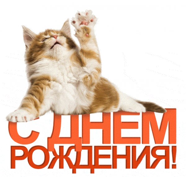 С днём рождения!