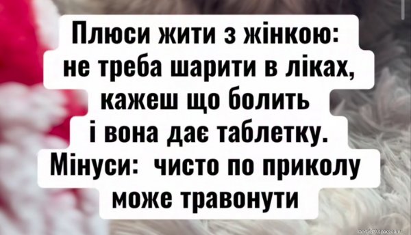 Плюси
