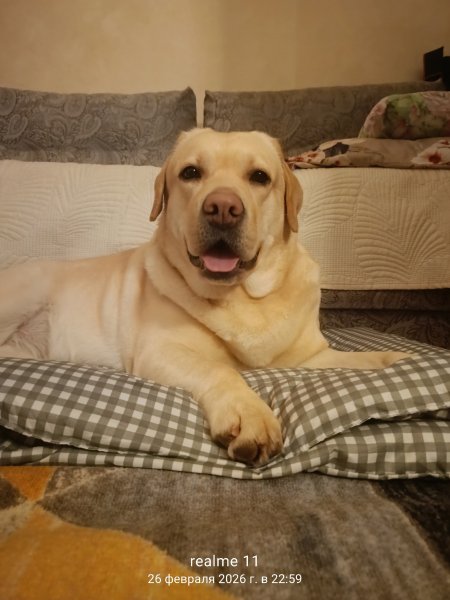 SX52ZMBVCXSFGJKUYTREWT2