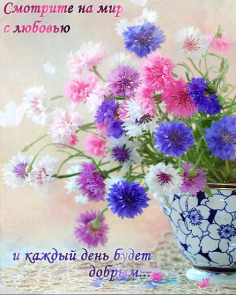 file_91216818