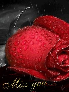 file_46988653