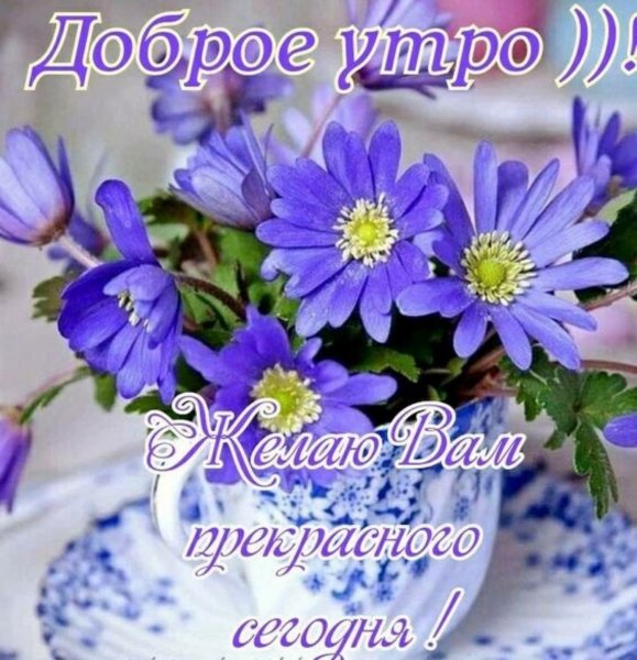 angBdrfxfig