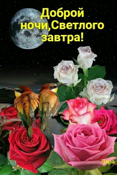 Доброй ночи