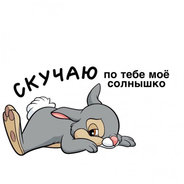 a6b14c360cce5814efd557d84