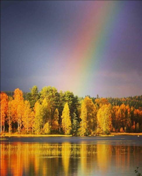 Screenshot 2021-10-06-16-00-55