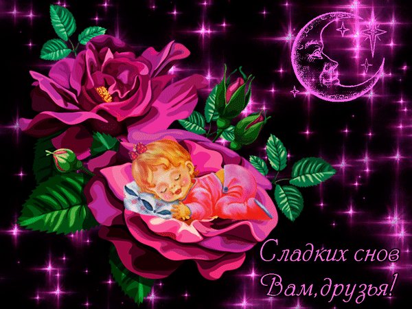 sladkix-snov-druzya