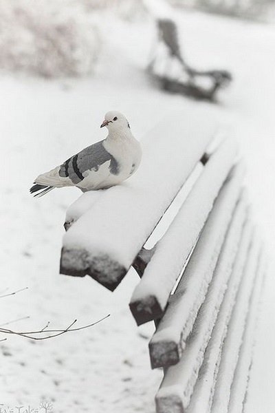 file_95631536