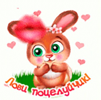 Лови поцелуйчик