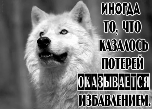 Иногда