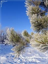 Танчики про ядерная война зима