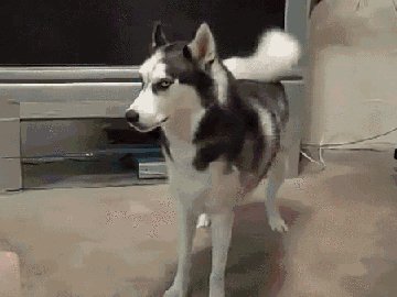 7a797e11bc74cb0e5feac0bb51f6fe07587019e6