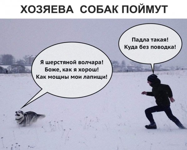 d6e9928d96a61530fe6c04f4268fa5f9
