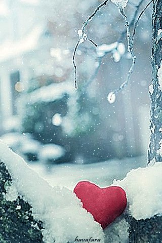 Сердечко в снегу