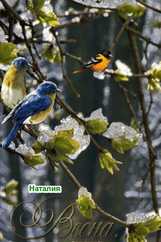 file_99301539
