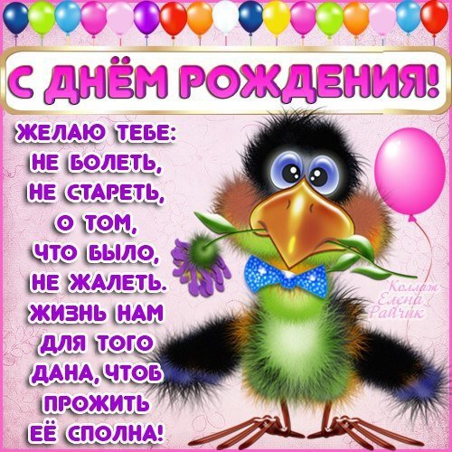 IMG 20181129 780950