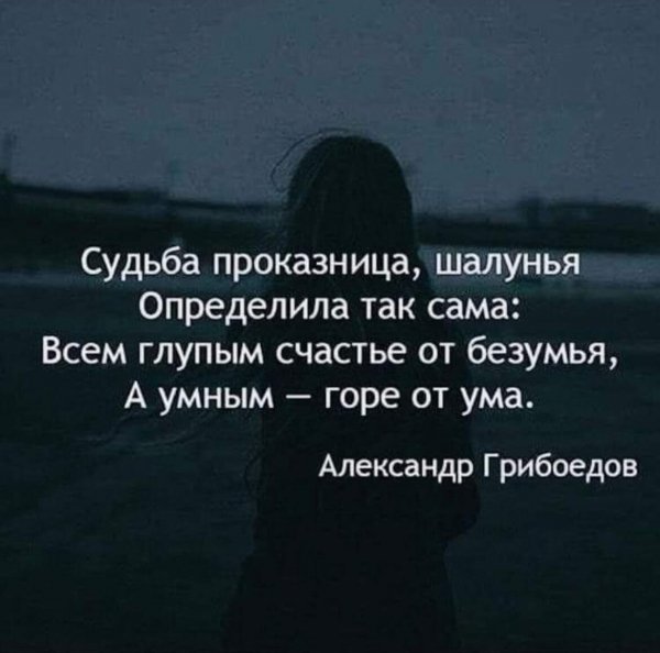 IMG 20240925 180700