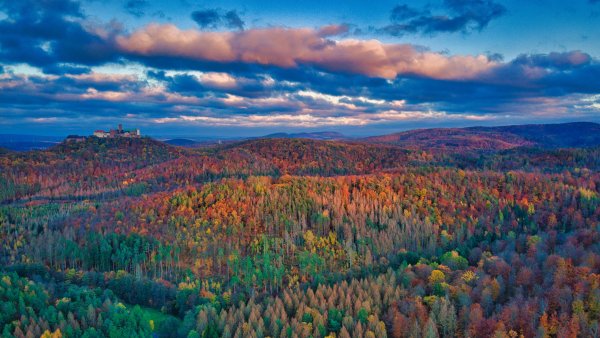 Wartburg Castle Тюрингский Лес Замок Вартбург UHD Обои 8К