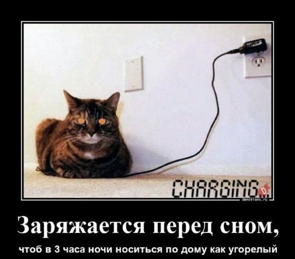Зарядка перед сном