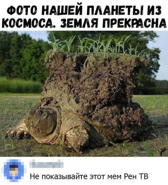 FB IMG 1780592404622