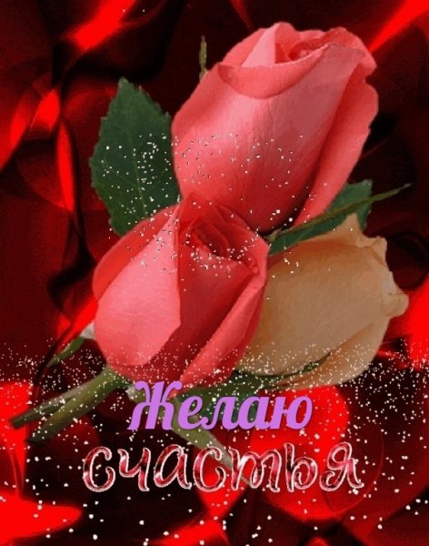 -VeuTevoV1s