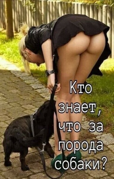file_83792188