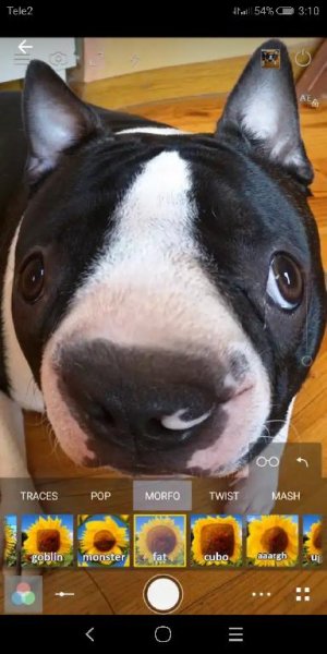 Cameringo+Plus+2.8.35