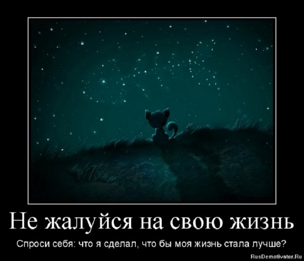 Не жалуйся на свою жизнь