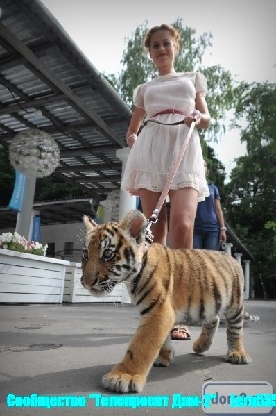 Таня Кирилюк