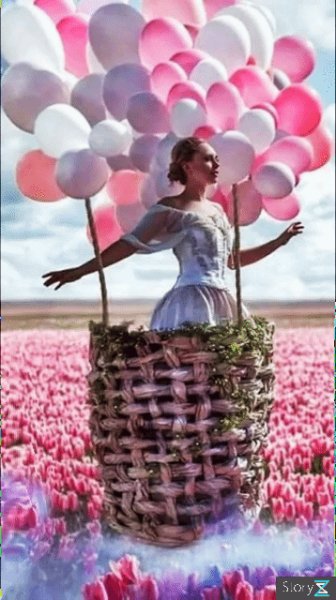 file_92336616