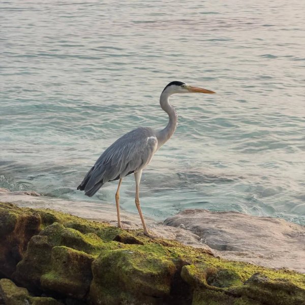 IMG 20260310 054229 247