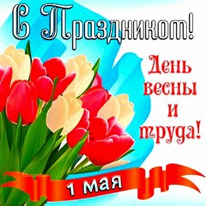 file_96556088