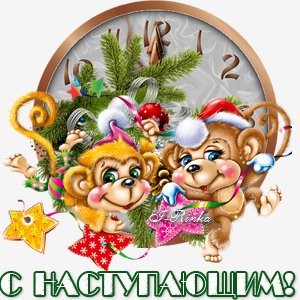 RR