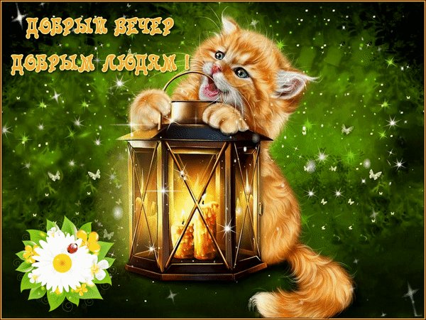 Анимированная открытка добрый вечер (2)