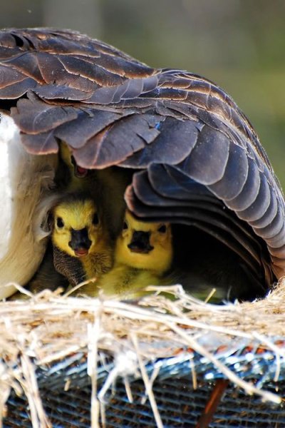 E2f5e7c8b6ba50f5a65ee7b66cd184c8