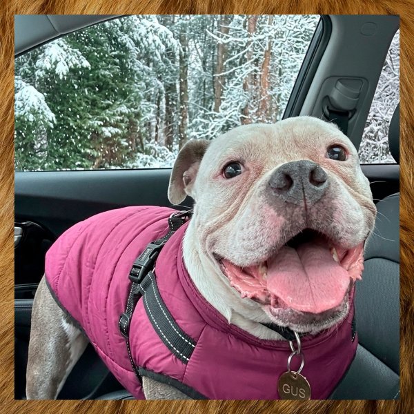 WLEDCHJIJGFCHHFCHGFQQK