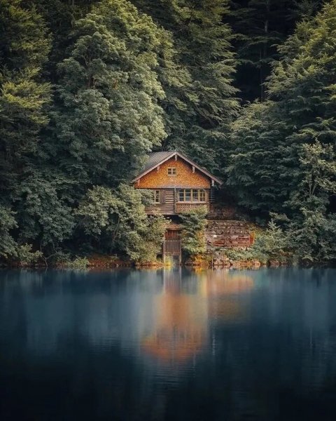 file_98752732