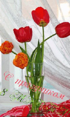 file_45902120